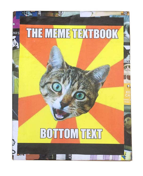 front cover reads 'the meme textbook' on a cat impact font meme